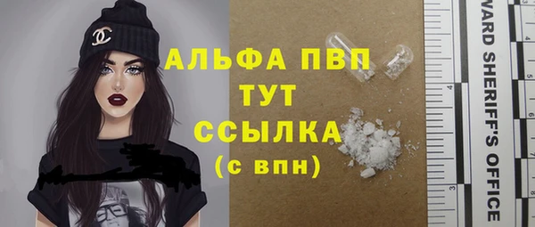 спайс Пересвет