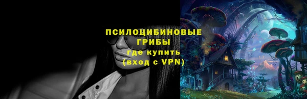 гидра Алзамай