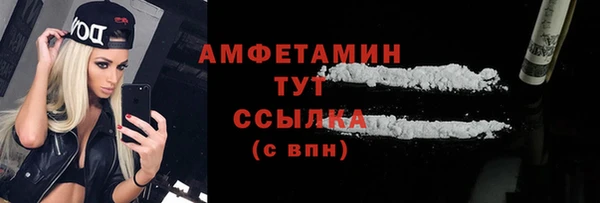 мдпв Пестово