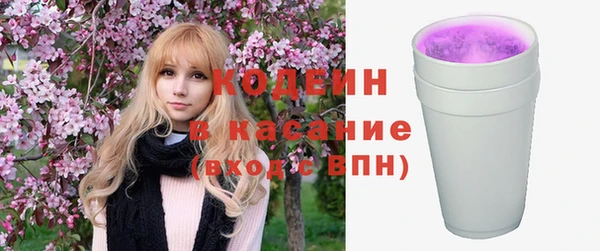 мдпв Пестово