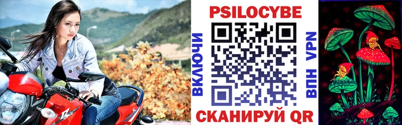 Псилоцибиновые грибы Psilocybe  дарнет шоп  Углич 