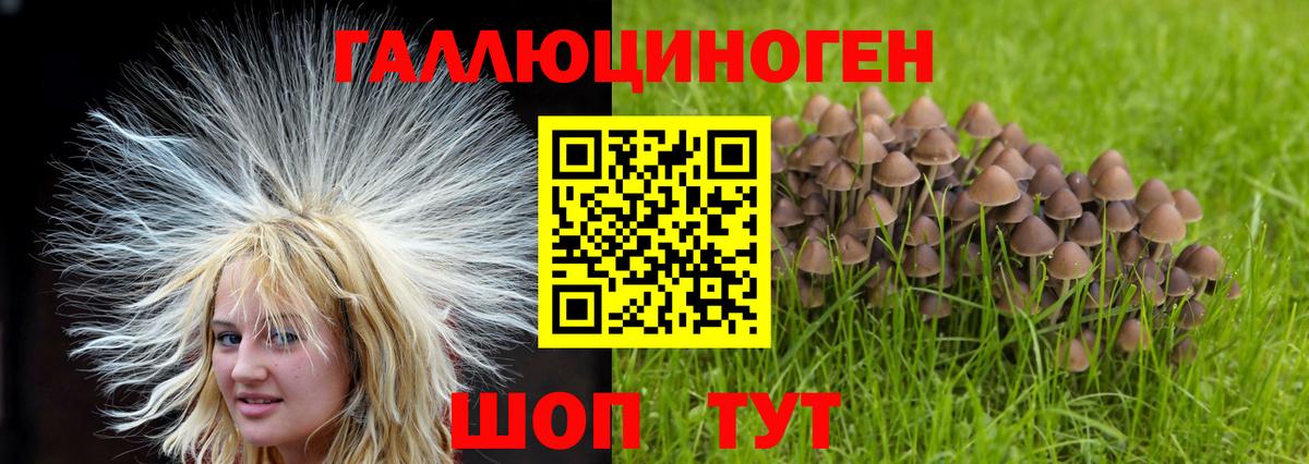 Галлюциногенные грибы GOLDEN TEACHER  Вход с VPN  Углич 